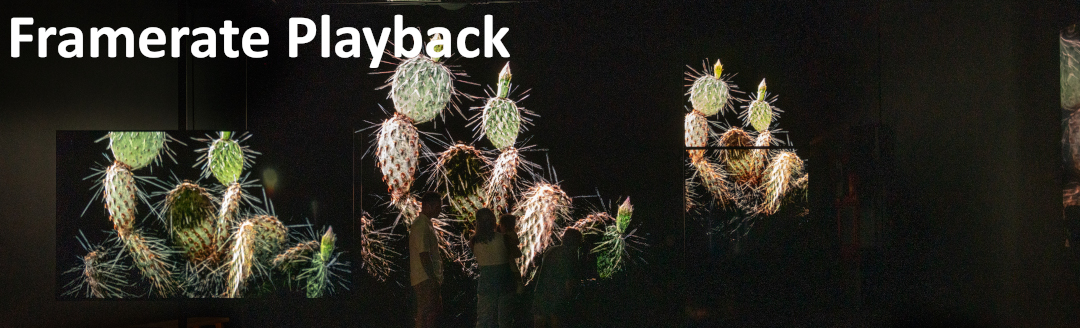 Framerate